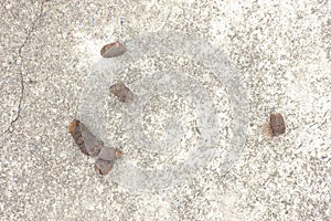 Top view of dog shits on concrete road