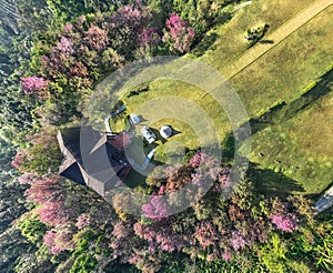 Top view of Doi pha hom pok national park in winter season with pink cherry blossom