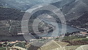 Top view of Douro Valley â€“ river and vineyards are on a hills, Portugal.