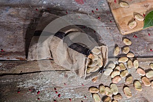 Top view of dried broad beans