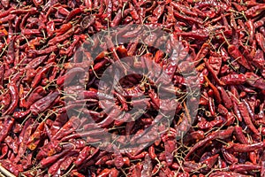 Top view of dried chilis, red peppers piled on one another