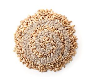 Top view of dried pearl barley heap