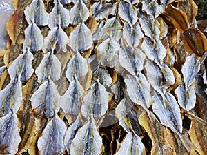 Top view of dried salted fish for cooking, for sale in the fish market photo