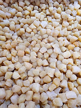 Top view of Dried Scallops