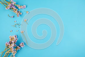 Top view of dried  violet statice flower on blue background