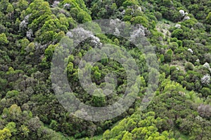 Top view, dron view, natural background. Wildlife of the Caucasus, Russia