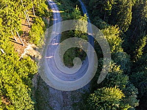 Top view, drone shot ,curving forest road in the  pine woods