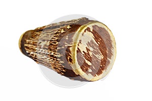 Top view of drum leather isolated on white background.