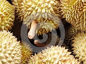 Top view of durian fruit as a background for sale in the market