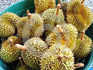 Top view of durian fruit in basket for sale in the market