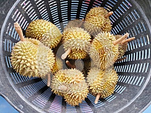 Top view of durian fruit in basket for sale in the market