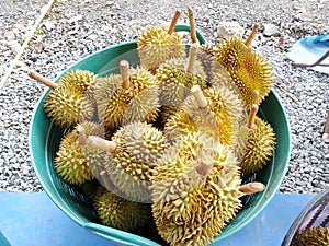 Top view of durian fruit in basket for sale in the market