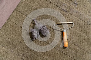 Top view of dust ball and carpet scraper tool. Rug cleaning device and pile of dirt close up