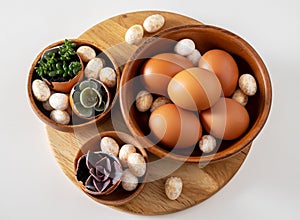 Top view Easter composition on a white table. Brown eggs and succulents in egg