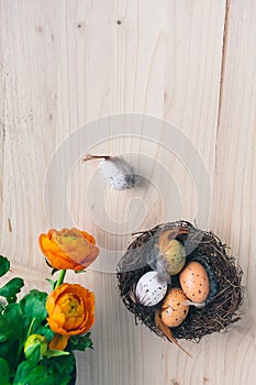 Top view of an Easter nest with orange flowers and and brown and white quail eggs decorations with feathers on wooden background