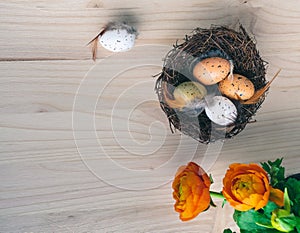 Top view of an Easter nest with orange flowers and and brown and white quail eggs decorations with feathers on wooden background