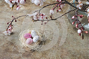 Top view of an Easter nest with white and pink freckled and spring tree branches on wooden background