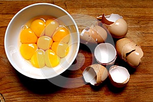 Egg yolks and eggshells photo