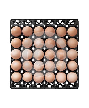 Top view eggs in package black plastic, Isolated on white background.