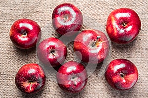 Top view of eight colorful bright shiny red apples on brown sack