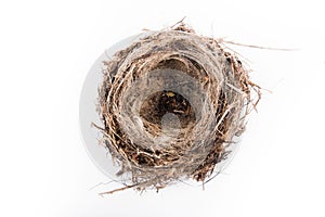 top view of empty bird nest isolated on white background