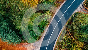 Top view of empty forest road with autumn colors. Aerial view of curvy road in autumn forest