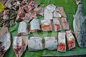 Top view of exotic freshwater fishes sold in the local market