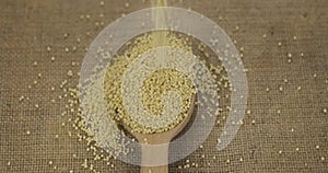 Top view of falling grains of millet into a wooden spoon. The grain fills the spoon and falls onto the burlap. Abundance