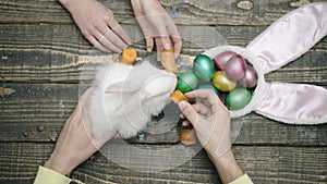 Top view of the family`s hands that feed Easter hare on wooden table. Happy easter. Happy family are preparing for