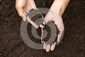 Top view. Farmer holding soil in hands.  The researchers check the quality of the soil.  Agriculture, gardening or ecology concept photo