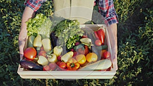 Top view: The farmer is holding a wooden box with a set of various vegetables. Organic farming and farm products