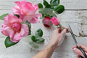 Top view of female decorator arranging roses on the wooden table photo