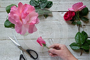 Top view of female decorator arranging roses on the wooden table photo