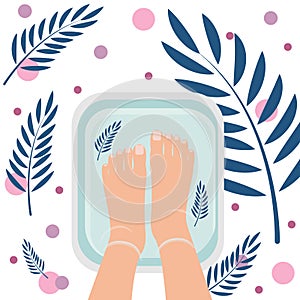 Top view of female feet in bath for cleansing. Spa procedure, pedicure. Nice atmosphere with plant leaves. Vector illustration