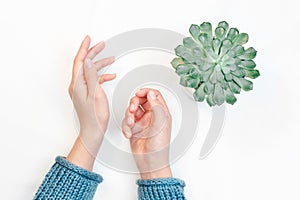 Top view of female hands with clean nude manicure on the white background