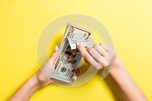 Top view of female hands counting money. Various dollar banknotes on colorful background. Salary concept. Bribe concept