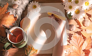 Top view of female hands holding a pencil and autumn dry leaves Mockup clipboard with a blank sheet of white paper. Creative