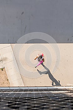 Top view of a fit woman runner
