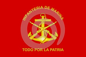 Top view of the flag Estandarte Infanteria de Marina, Mexico. United Mexican States patriot and travel concept. no flagpole. Plane photo