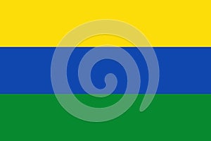 Top view of flag Guainia Colombia. Colombian patriot and travel concept. no flagpole. Plane design, layout. Flag background photo