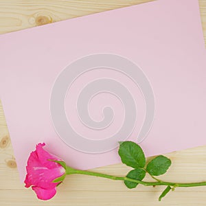 Top view,flat lay pink rose and copy space