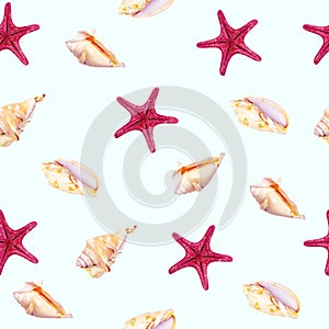 Top view flat lay starfish and seashell seamless pattern on light blue background.