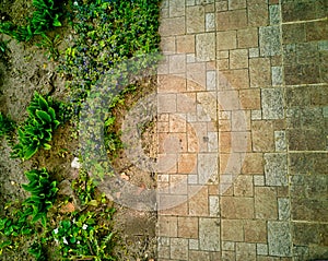 Top view of floor tiles background with grass, dirt and young flowers in spring day background