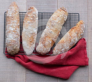 Top view of floury home made ciabatta sour dough loaves cooling on a wire tray, baked during the Coronavirus lockdown.