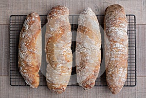 Top view of floury home made ciabatta sour dough loaves cooling on a wire tray, baked during the Coronavirus lockdown.