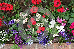 Top view of a flower bed