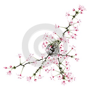 Top view of flowering tree twigs in glass vase isolated on white