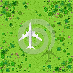 Top view of a flying plane and a green forest with trees