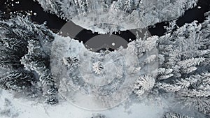 Top view of the forest river and snow-covered trees