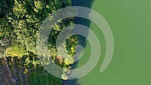 Top View Forest And Terraced Vineyards In Minho River Near Belesar. Aerial Shot